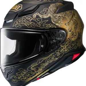 SHOEI NXR II Fearless